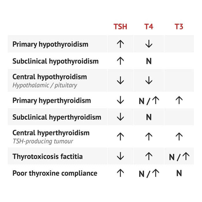 Thyroid Function Tests