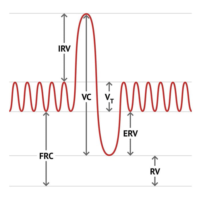 Lung Function Tests